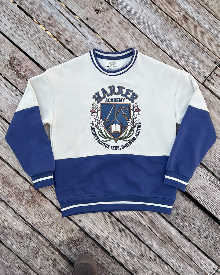Flat lay of fantasy sweatshirt with blue and white dual-tone and a logo for Harker Academy from Half City by Kate Golden.
