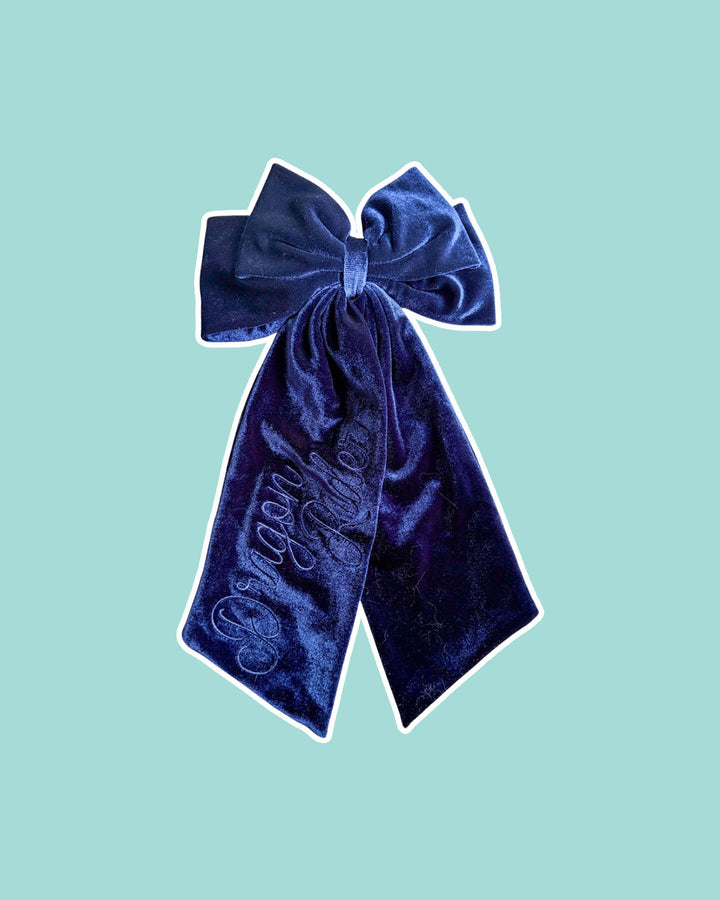 Dragon Rider Velvet Hair Bow Clip