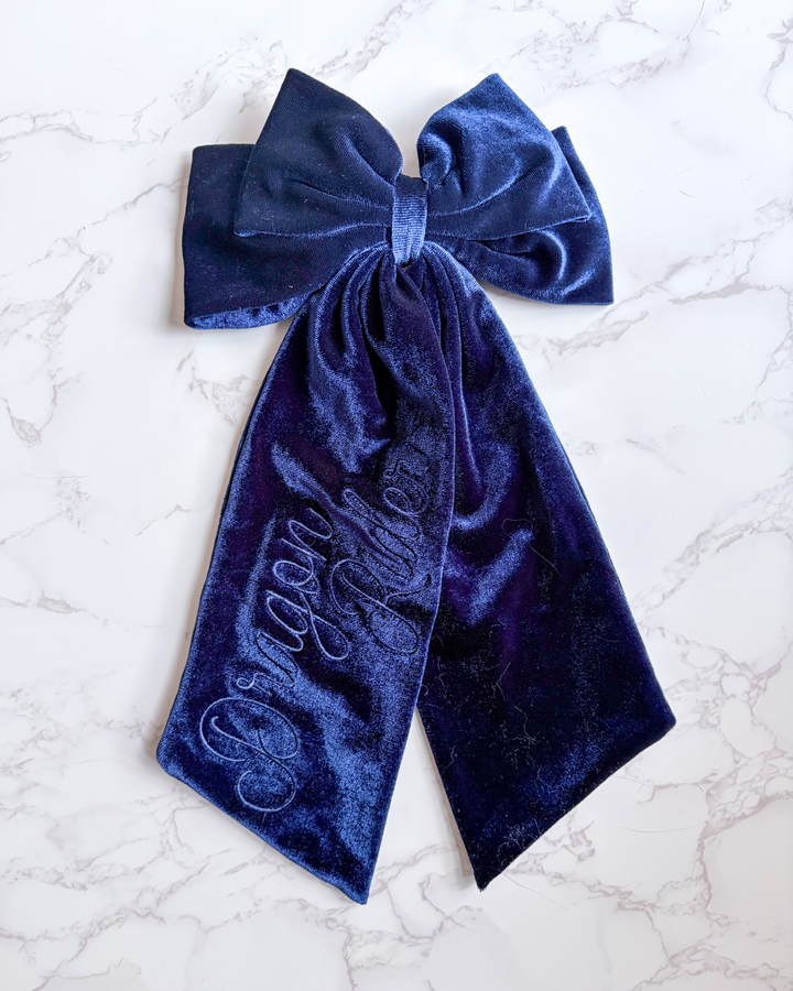 Dragon Rider Velvet Hair Bow Clip