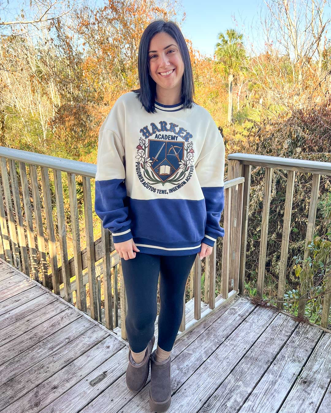 Model wearing a dual-tone sweatshirt with blue on the bottom and white on the top with stripe details featuring a logo for Harker Academy for fantasy fans.
