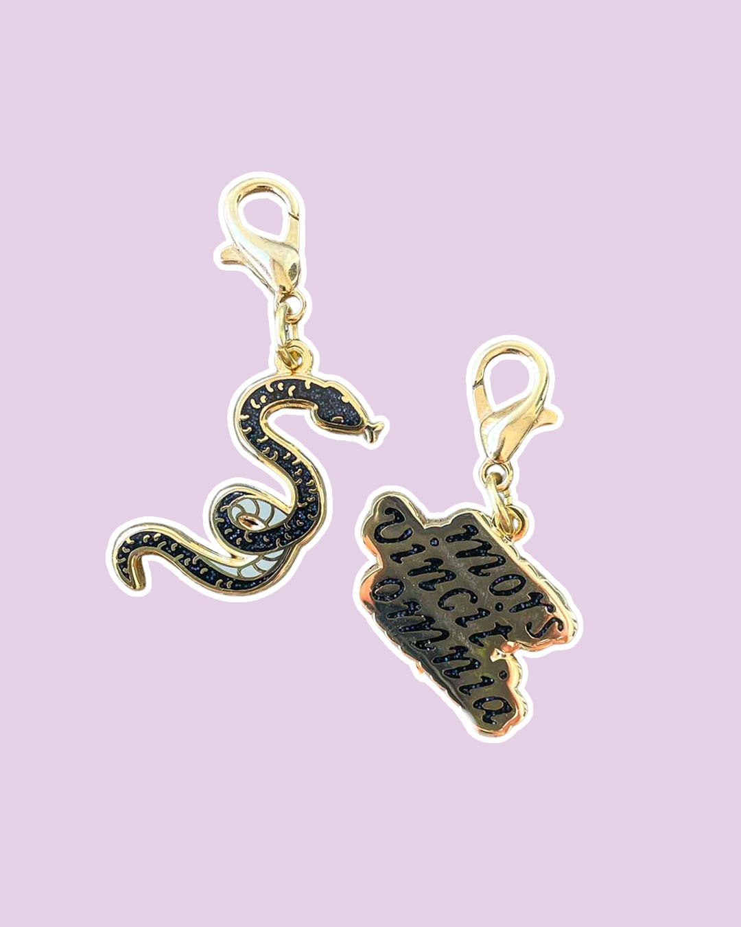 Ninth House charm set featuring a snake and a gold charm with the quote 'mors vincit omnia.'