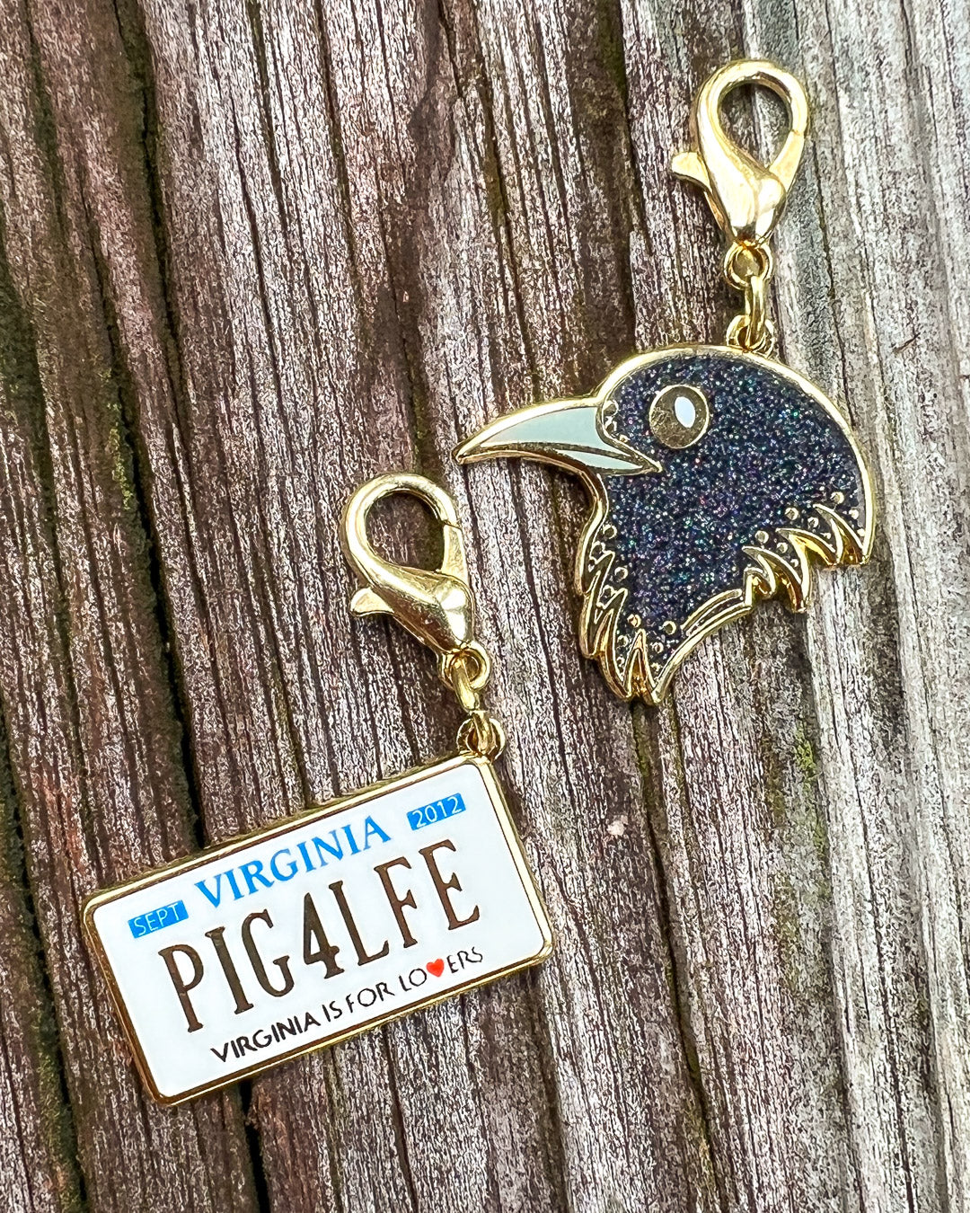 Maggie Stiefvater charm set for Raven Cycle fans featuring license plate reading &