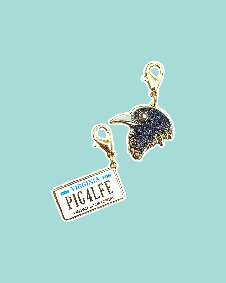 The Raven Cycle charm set for Maggie Stiefvater fans featuring a sparkly raven and a Virginia license plate reading &