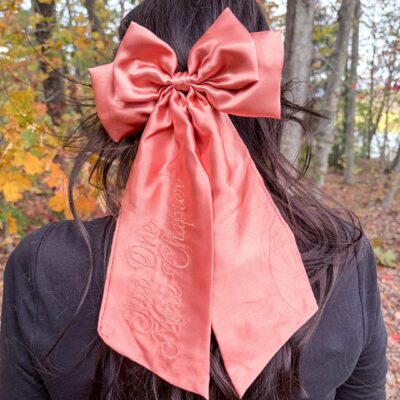 One More Chapter Satin Hair Bow Clip